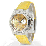 Rolex Cosmograph Daytona “Beach” Full Collection 116519